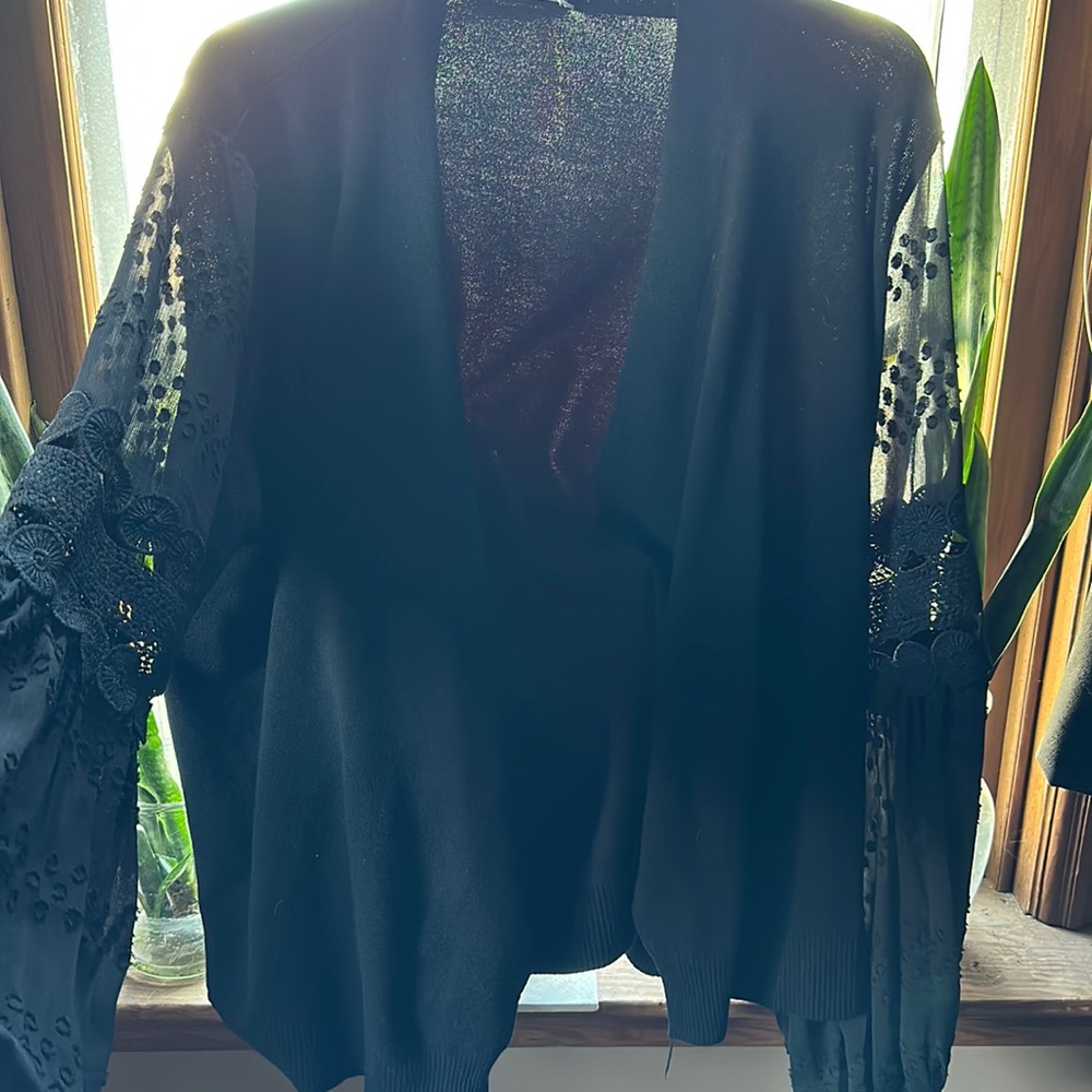 Black cardigan with lace/shear sleeves.